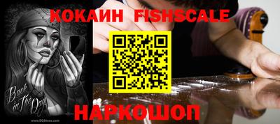 крисы Можга