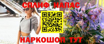 apvp Моздок