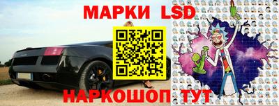 крисы Можга