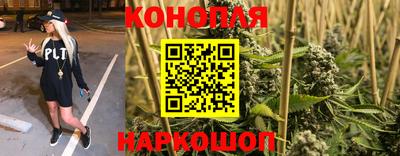 apvp Моздок