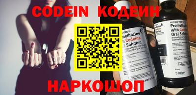 крисы Можга