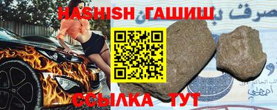 крисы Можга