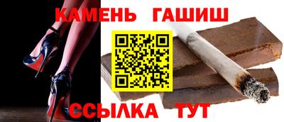 крисы Можга