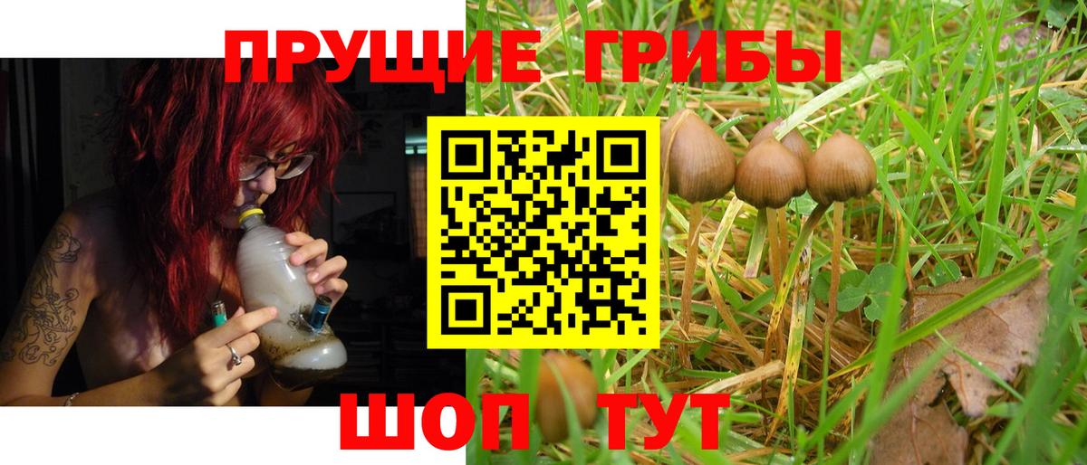 Галлюциногенные грибы Psilocybine cubensis  Вход с VPN  Ялта 